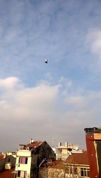 ferdi bayrak sefer kuşları eke dumanlı 05354829474