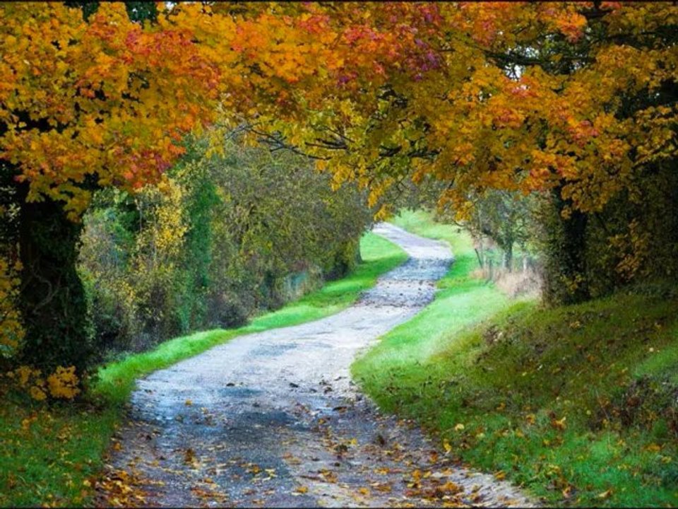 Jerzy Połomski -  Idź swoją drogą