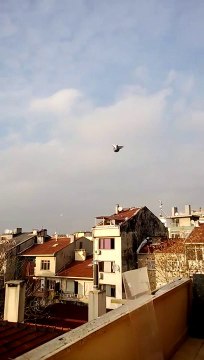 ferdi bayrak sefer kuşları eke dumanlı 05354829474