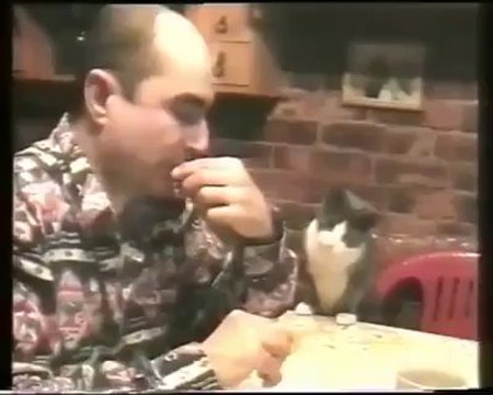 Guardate cosa fa quest'uomo con il suo gatto. Non crederete ai vostri occhi