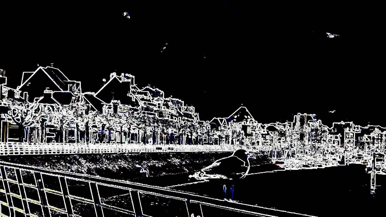 le soir tous les oiseaux sont noirs