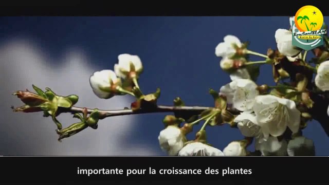 Qui a crée cette univers Est ce que Dieu existe . Tres belle vidéo à regarder!!