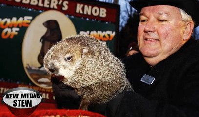 PUNXSUTAWNEY PHIL Indicted Over Early Spring Forecast, Faces Death Penalty