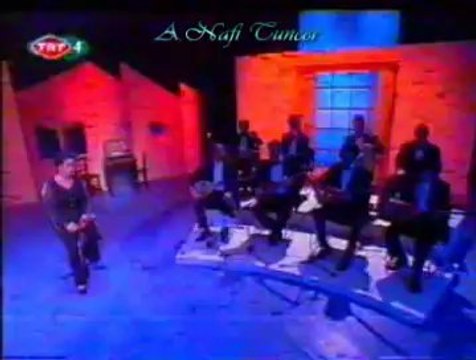 Emel TAŞÇIOĞLU-1-Hapishanelerde Güneş Doğmuyor-2-Ham Meyvaydım Kopardılar Dalımdan