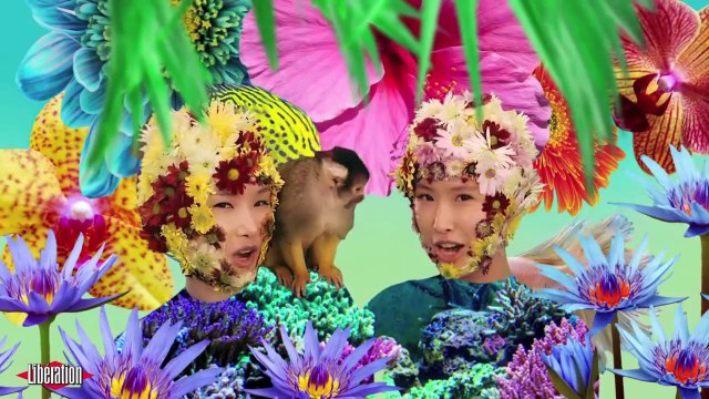 Le clip de la semaine «Back 2 the Wild», de Basement Jaxx