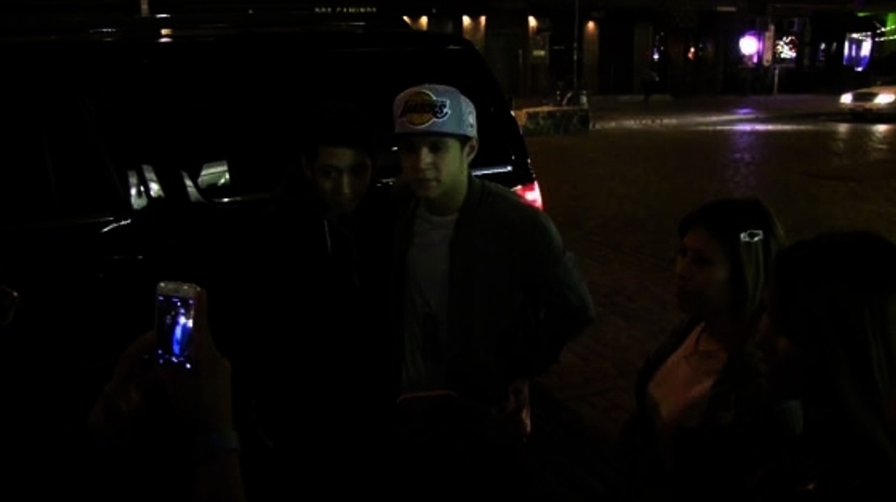 1D's Niall Horan Hangs Out With Harry Styles' Ex Taylor Swift