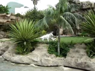 cuando ella no quiere