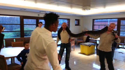 Standard: Batshuayi a peur des reptiles