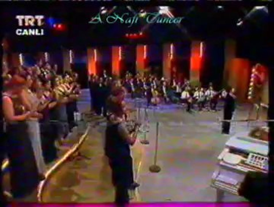 Emel TAŞÇIOĞLU-Kesik Çayır-3