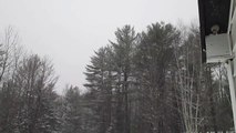 February Snow Storm
