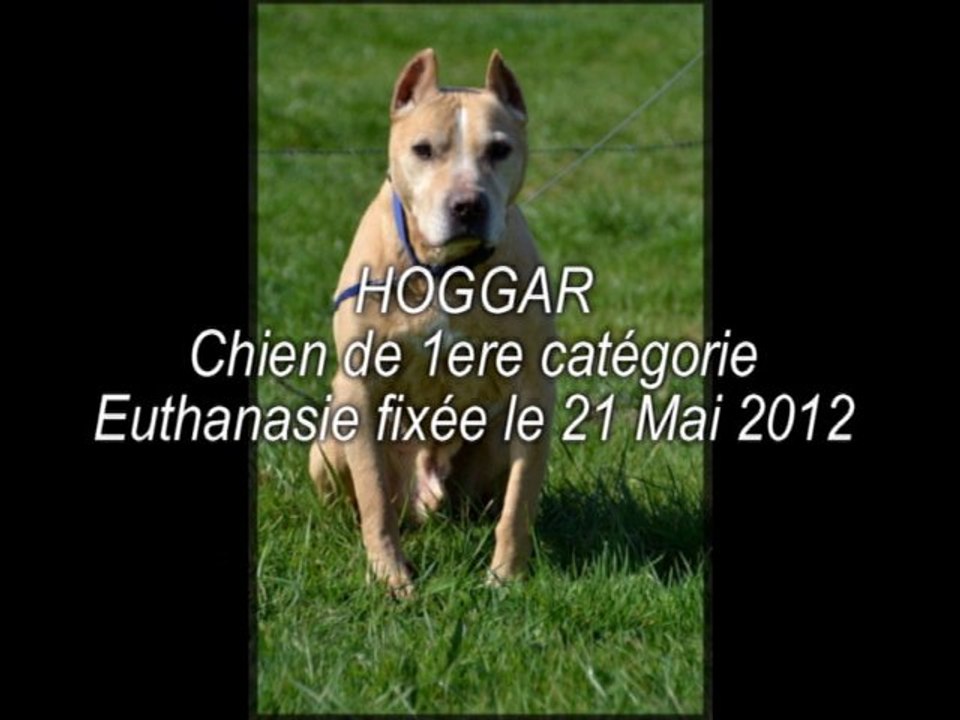 Hoggar