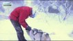 Découverte du ski nordique et de la cani-raquette au Lac Blanc