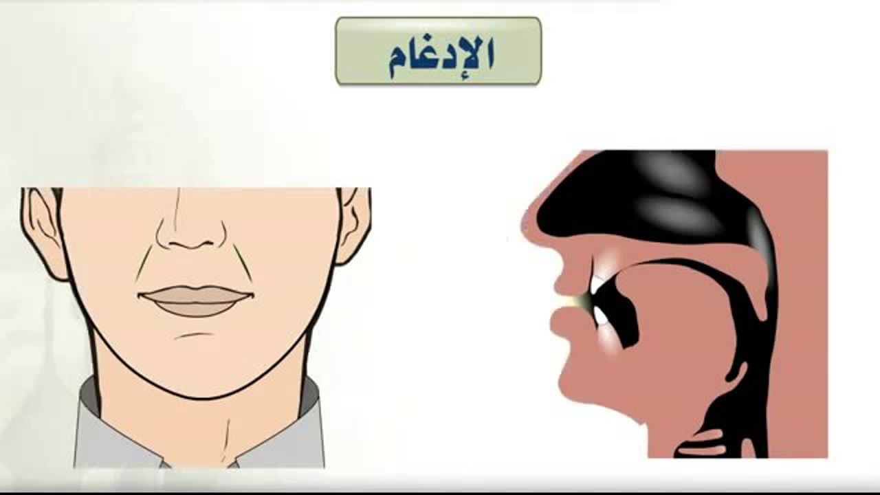 أحكام النون الساكنة جميع الدروس