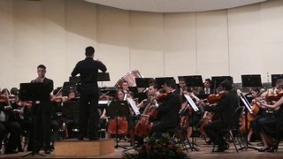Concierto para Corno y Orquesta de Mozart  Teatro Municipal Valencia Venezuela