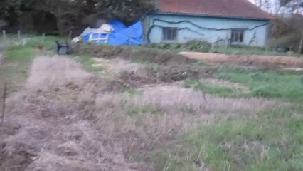 Création du Potager