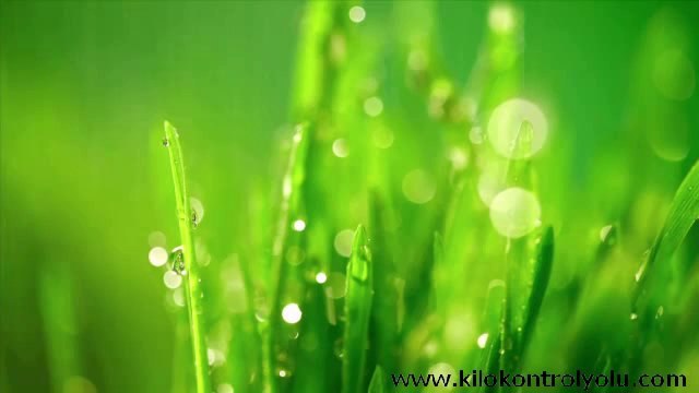 Herbalife Dış Beslenme Ürünleri, Yeni Herbal Aloe Serisi, kilokontrolyolu.com