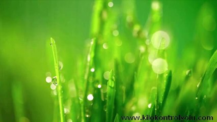 Herbalife Dış Beslenme Ürünleri, Yeni Herbal Aloe Serisi, www.kilokontrolyolu.com