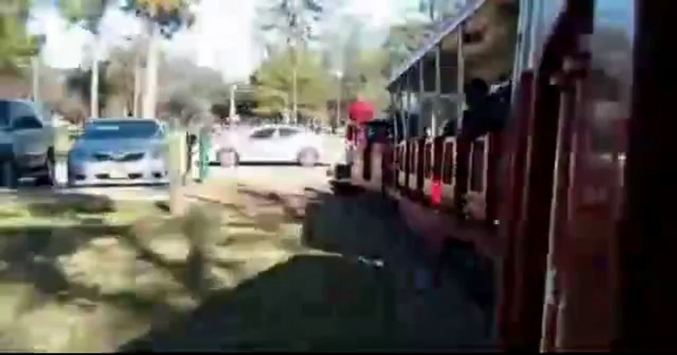 Cute Train Parked Car Collision