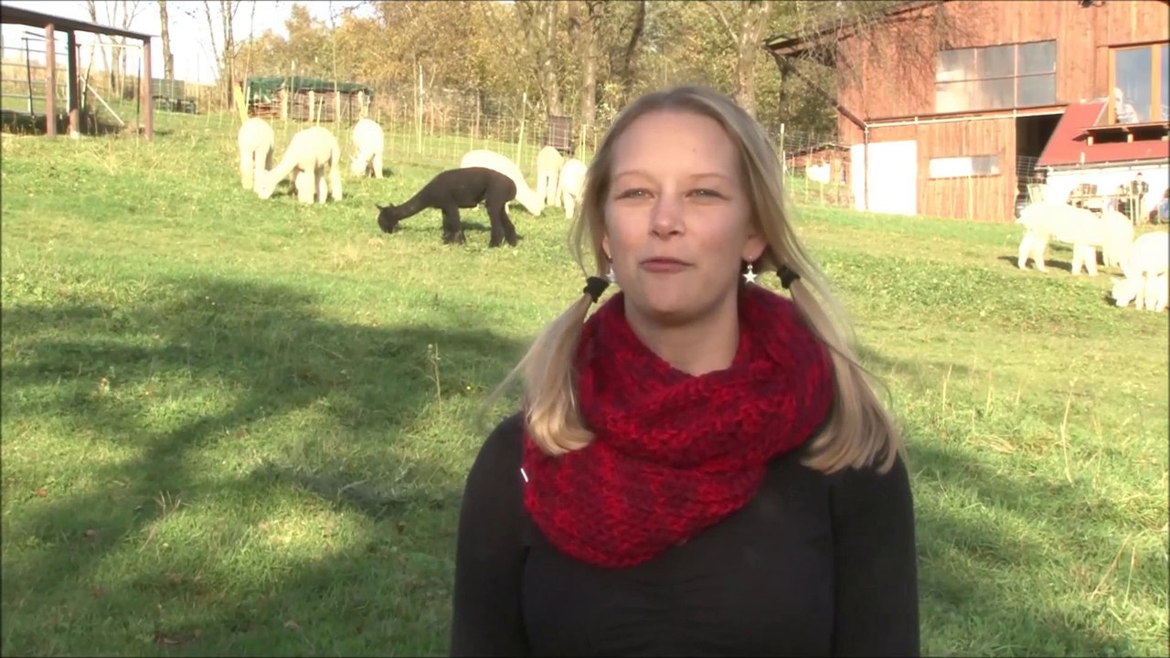 Sustainable Tourism at Alpacas Farm