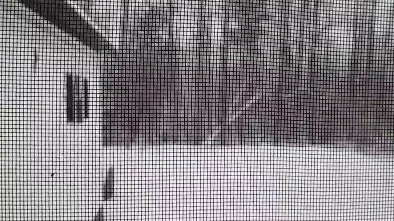 February Snow Storm 2