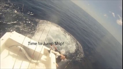 This Swordfish Is Bad At Avoiding Being Caught