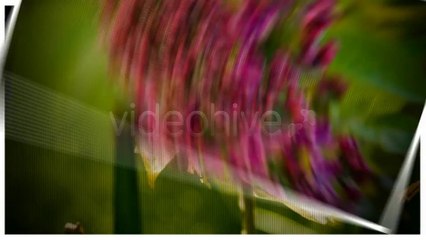 Cheerful Photo And Video Slideshow - After Effects Template