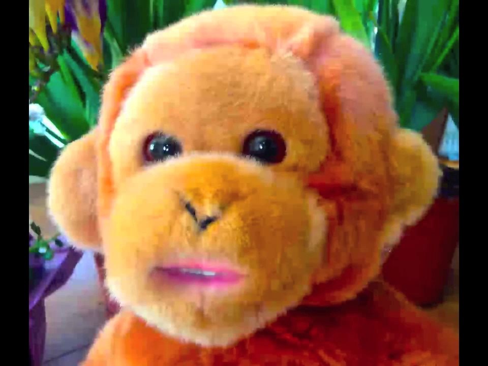 Annoying Chimp