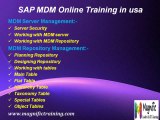 sap -mdm- vision- online -training