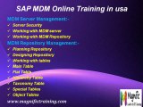 sap -mdm(master data management)- vision- online -training