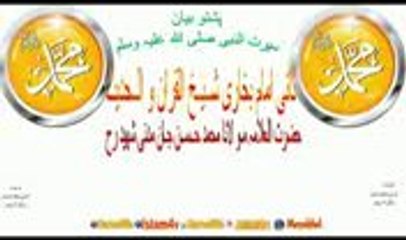 سیرت النبی صلی اللہ علیہ وسلم   شــيــخ  الــقـران مـو لـنـا حــســن جـان  رح