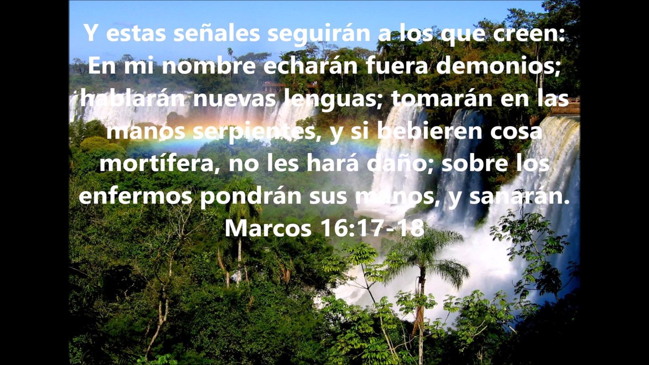 Combatiendo la enfermedad