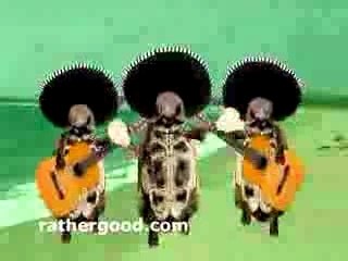 Pixies - Isla de encanta