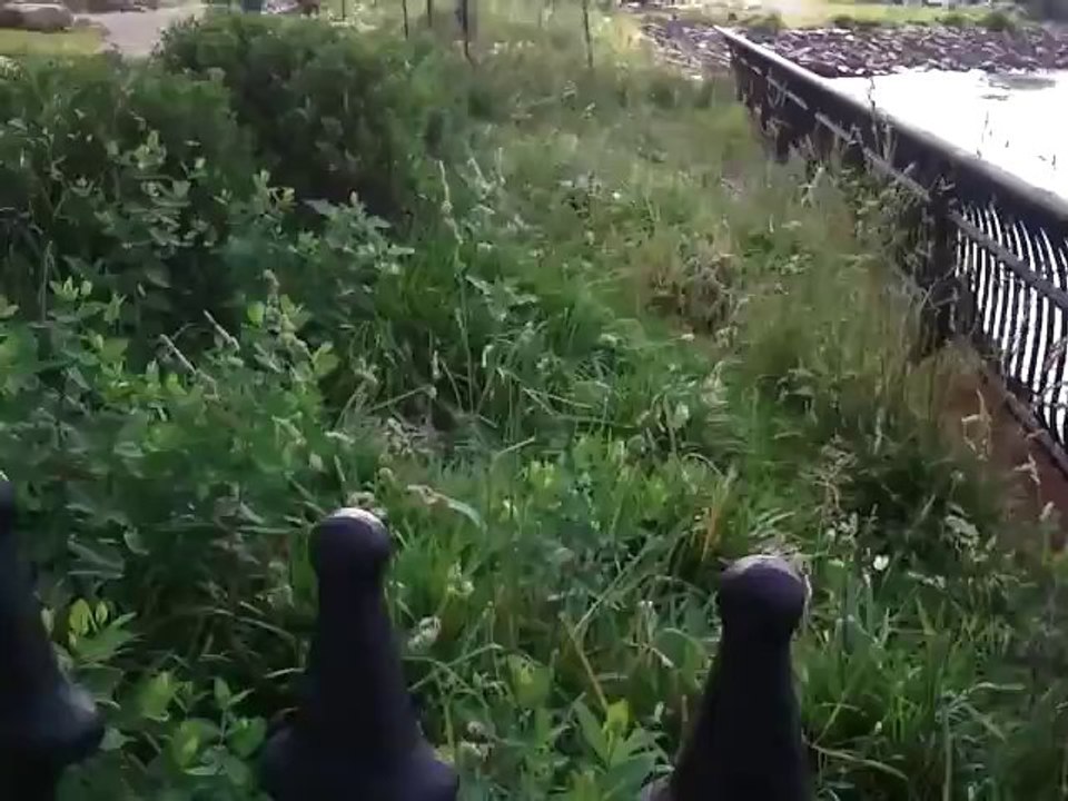 SAMSUNG Focus SGH-i917  Windows Phone 7 Test Video