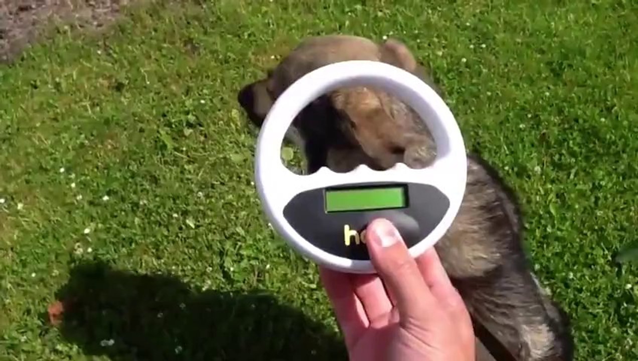 Hasvet - Halo Mikroçip Okuyucu - Köpek