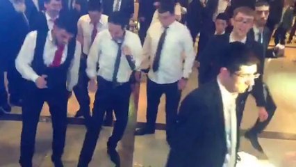 ריקוד הפינגווין - עמירן דביר