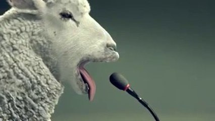 Hilarant : Le mouton et le test des sirènes en Suisse