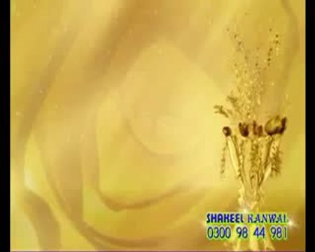 avi clips for video editing