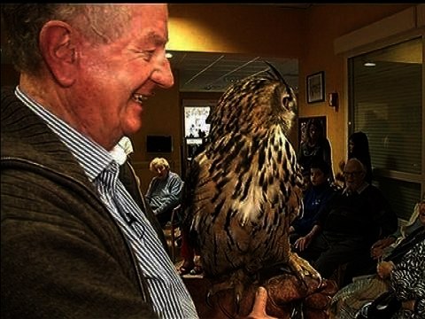 Thérapie par les chouettes - 01/02