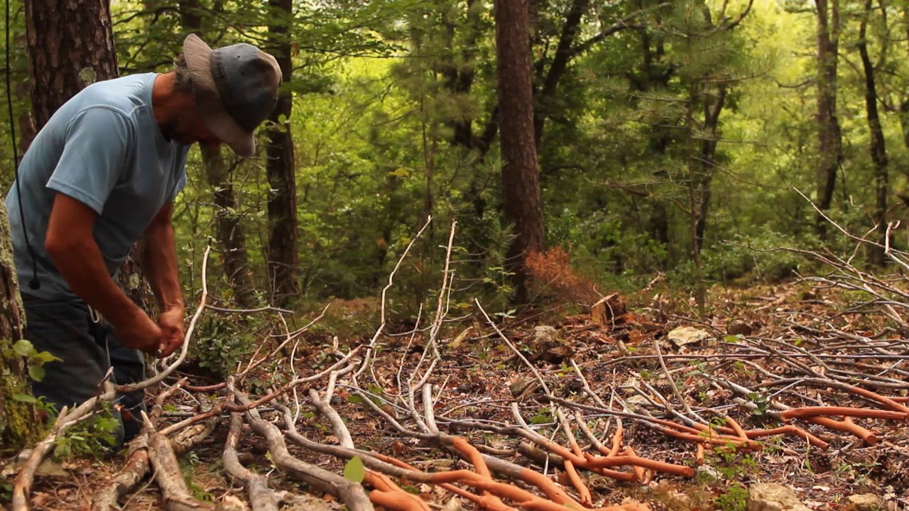 En tête à tête avec Jean-Yves Piffard