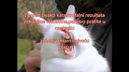 ZEKU U KAVEZ-NARODU SLOBODA