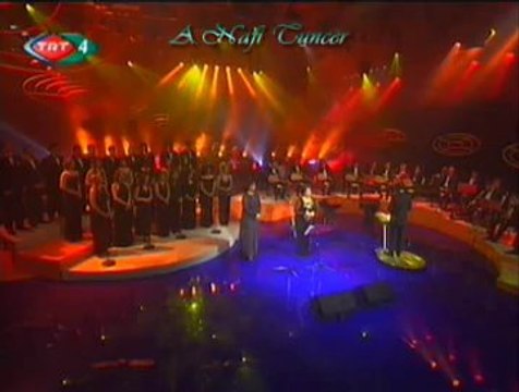 Emel TAŞÇIOĞLU-Hasta Düştüm Gurbet Elde-2