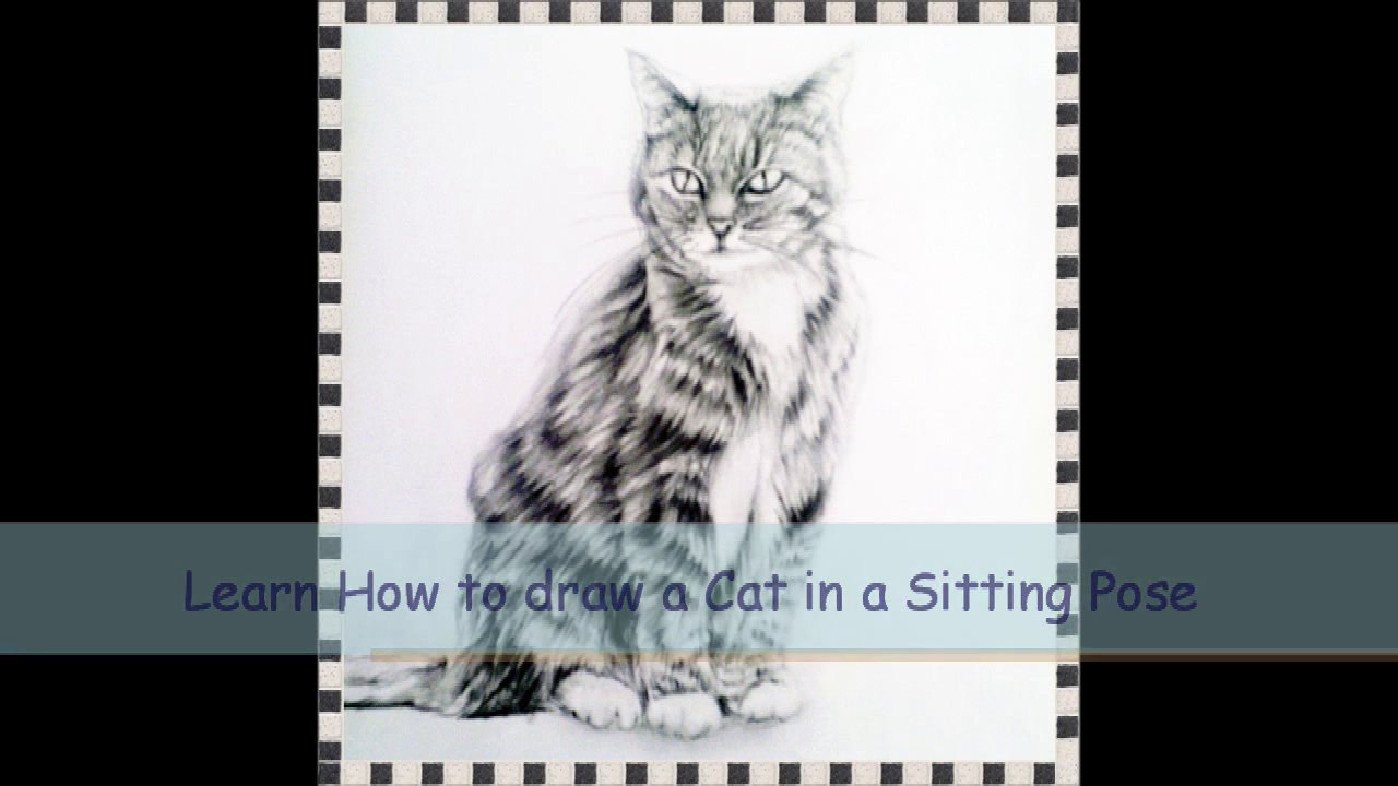 Learn How to draw a Cat in a Sitting Pose with Easy to Follow Instructions / Part 2