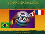 AGDE - 2014 - Le Clip  capagathois de la Coupe du Monde de Football 2014  par Philippe DE CANCK