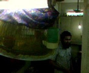 JAL BIRD SINGING EXPERT AHMED