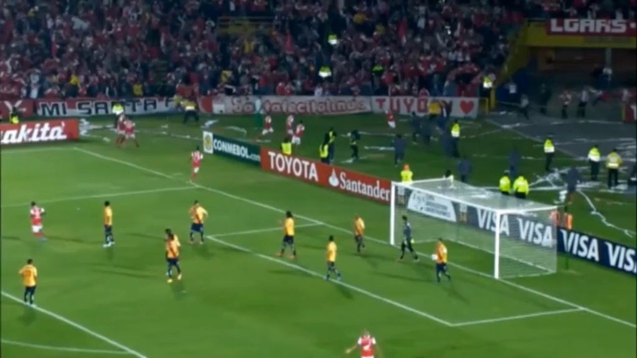 Copa Libertadores: Tor führt zu Platzsturm