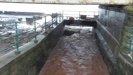 Media Companies Invade Devon to Record Stormy Conditions