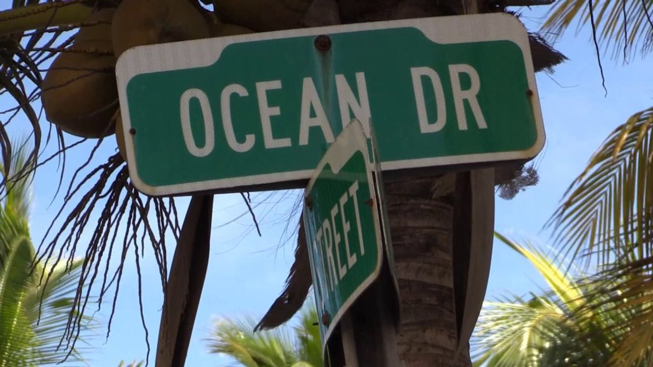 Beckham's Miami move delights fans