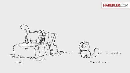 Kadınların Memnuniyetsizliğini Anlatan Eğlenceli Video