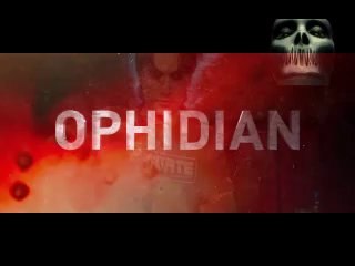 United Hardcore Forces   Hard as stone   Trailer [HD