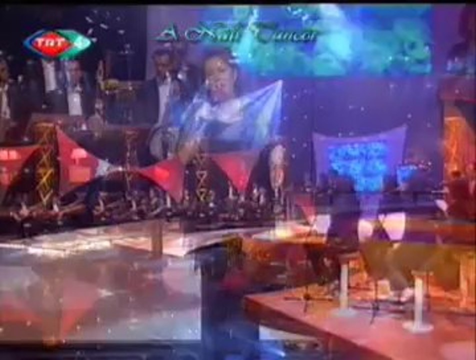 Emel TAŞÇIOĞLU-Seyreyle Güzel Kudret-i Mevlâ Neler Eyler